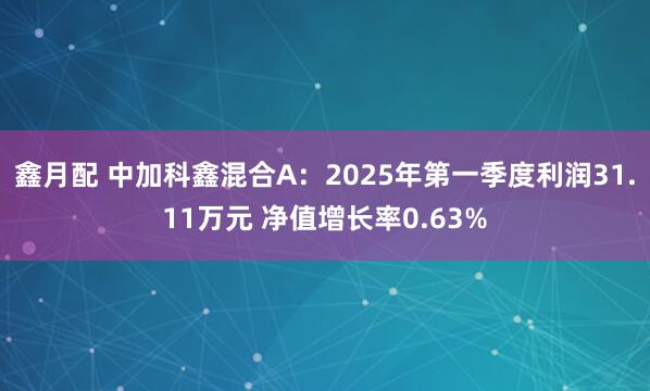 鑫月配 中加科鑫混合A：2025年第一季度利润31.11万元 净值增长率0.63%