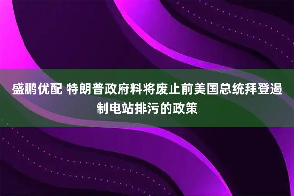 盛鹏优配 特朗普政府料将废止前美国总统拜登遏制电站排污的政策