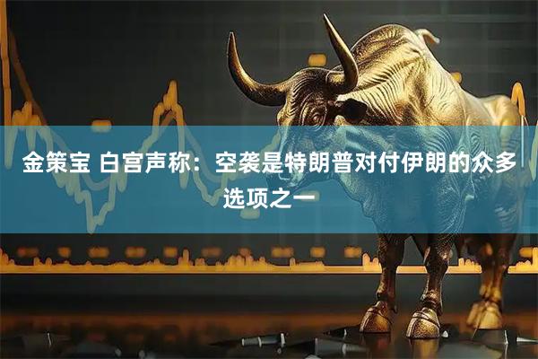 金策宝 白宫声称：空袭是特朗普对付伊朗的众多选项之一