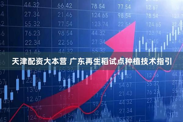 天津配资大本营 广东再生稻试点种植技术指引
