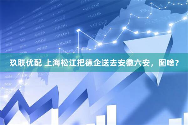 玖联优配 上海松江把德企送去安徽六安，图啥？